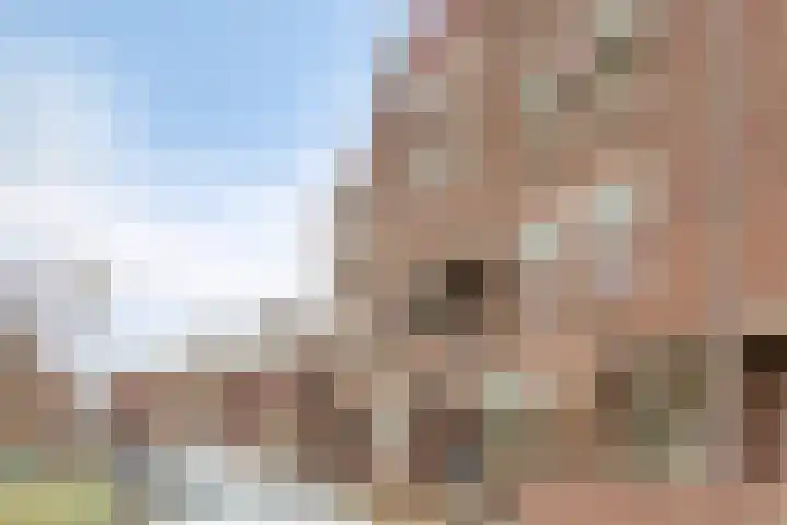 Arkplein 87 Alkmaar thumbnail 29