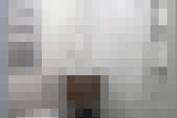 Arkplein 87 Alkmaar thumbnail 4