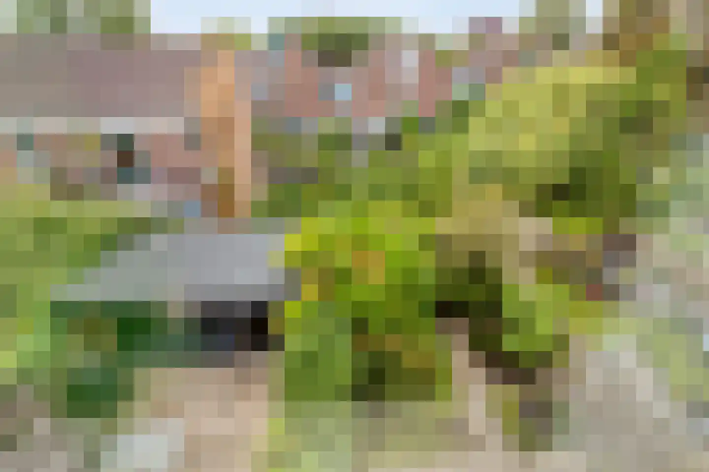 Arkplein 98 Alkmaar thumbnail 26