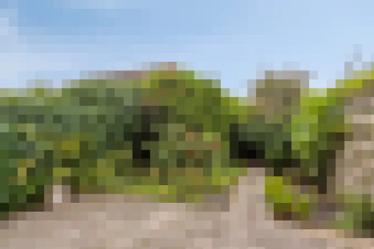Arkplein 98 Alkmaar thumbnail 4