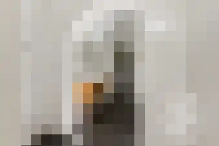Arksteestraat 10 Nijmegen thumbnail 36