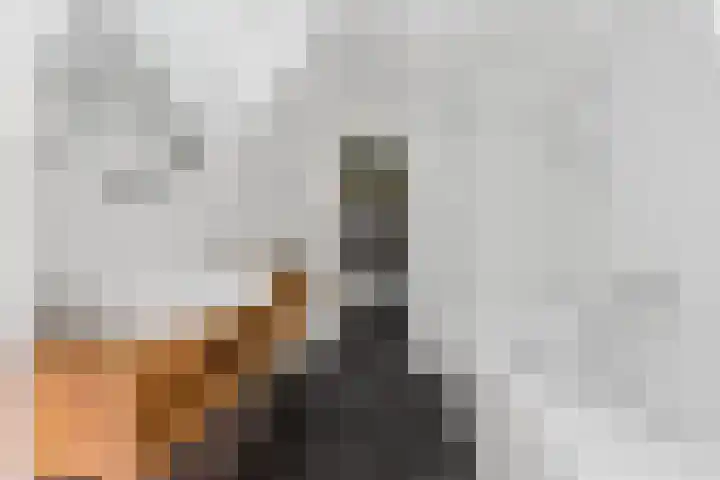 Arksteestraat 10 Nijmegen thumbnail 37