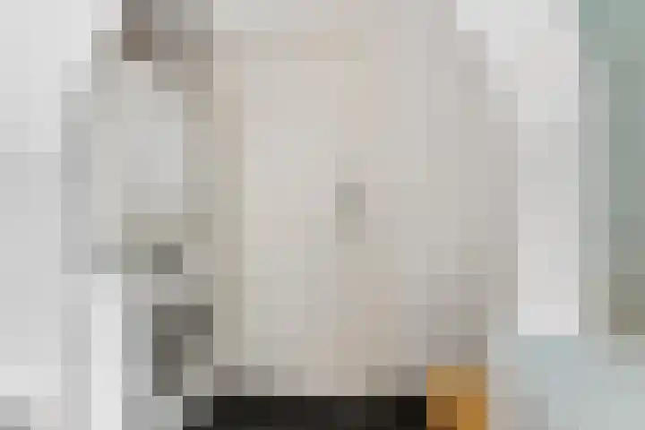 Arksteestraat 10 Nijmegen thumbnail 39