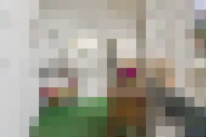 Arksteestraat 10 Nijmegen thumbnail 41