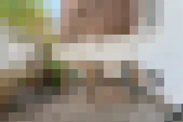 Arksteestraat 10 Nijmegen thumbnail 46