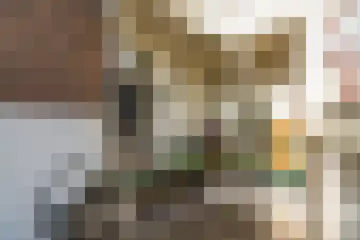 Arksteestraat 10 Nijmegen thumbnail 47