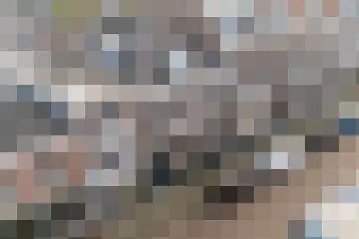 Arksteestraat 10 Nijmegen thumbnail 54