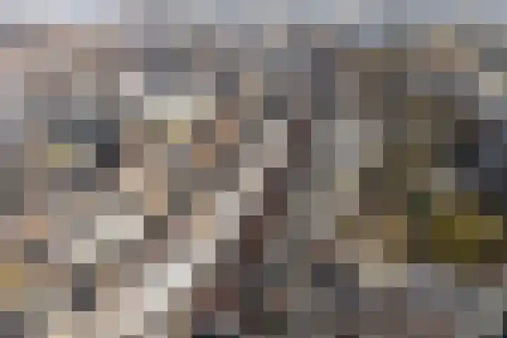 Arksteestraat 10 Nijmegen thumbnail 56