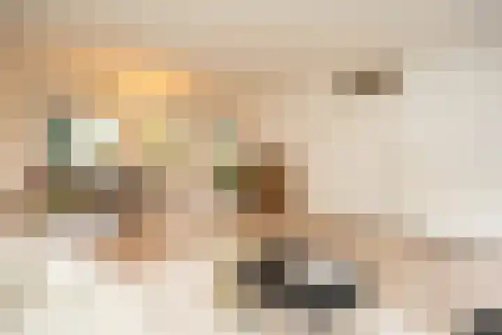 Arksteestraat 17 Nijmegen thumbnail 12