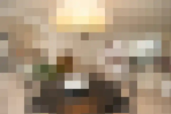 Arksteestraat 17 Nijmegen thumbnail 17
