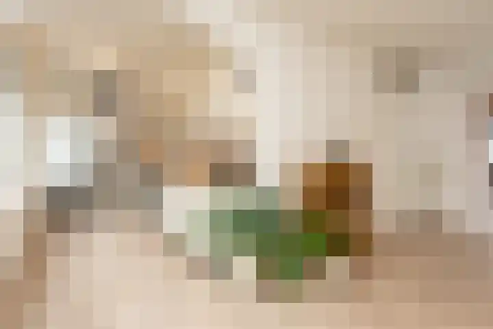 Arksteestraat 17 Nijmegen thumbnail 19
