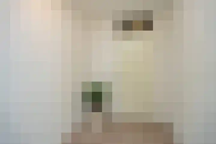 Arksteestraat 17 Nijmegen thumbnail 27