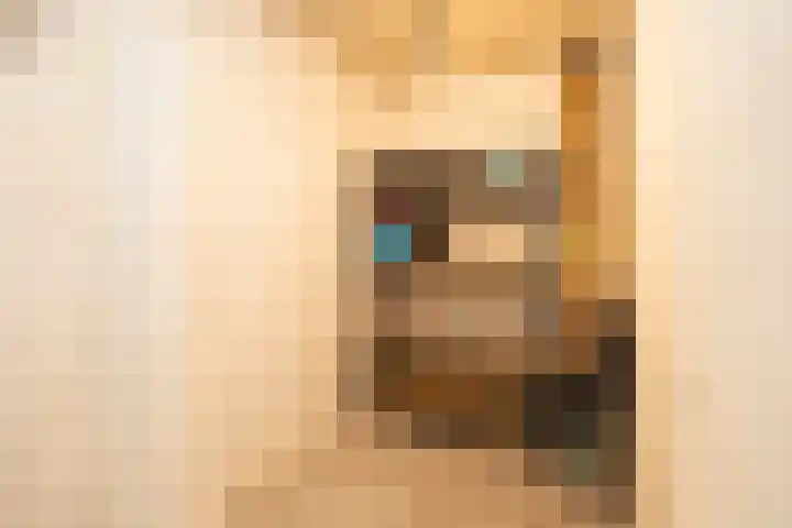 Arksteestraat 17 Nijmegen thumbnail 31