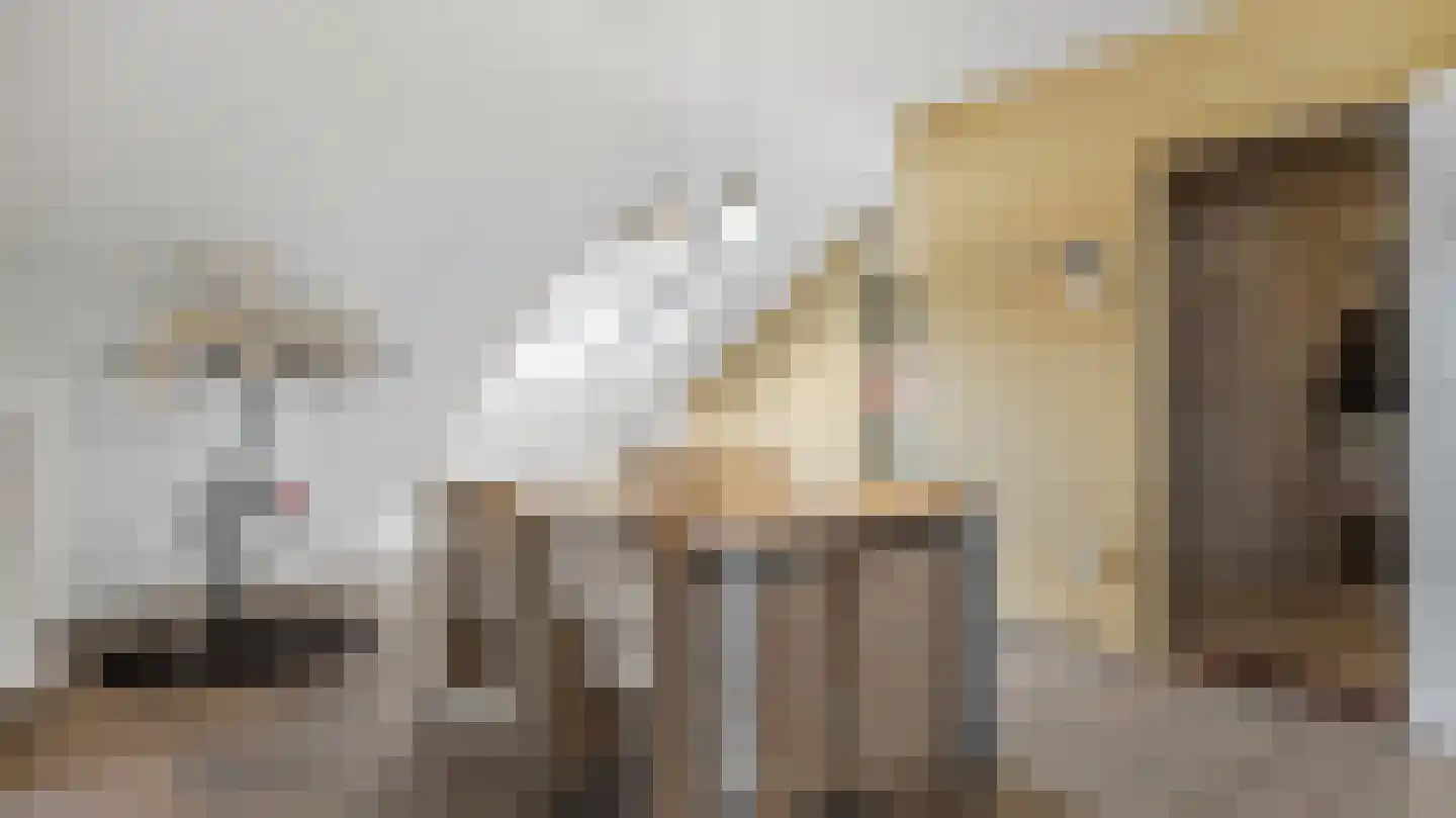 Arkstraat 27 21 Venray thumbnail 4