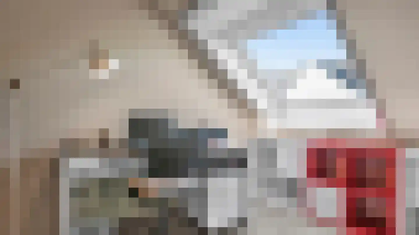 Arkstraat 27 21 Venray thumbnail 8