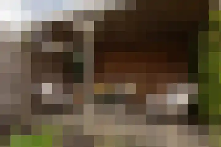 Arkumerhemstraat 16 Sneek thumbnail 37