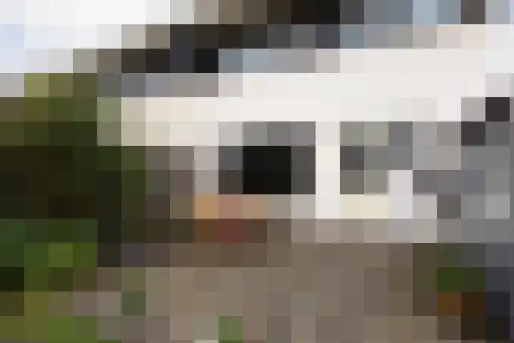 Arkumerhemstraat 16 Sneek thumbnail 39