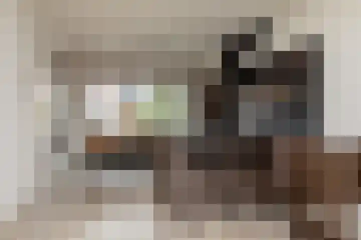 Arkumerhemstraat 16 Sneek thumbnail 6