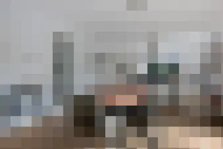Arlo 11 Tynaarlo thumbnail 10