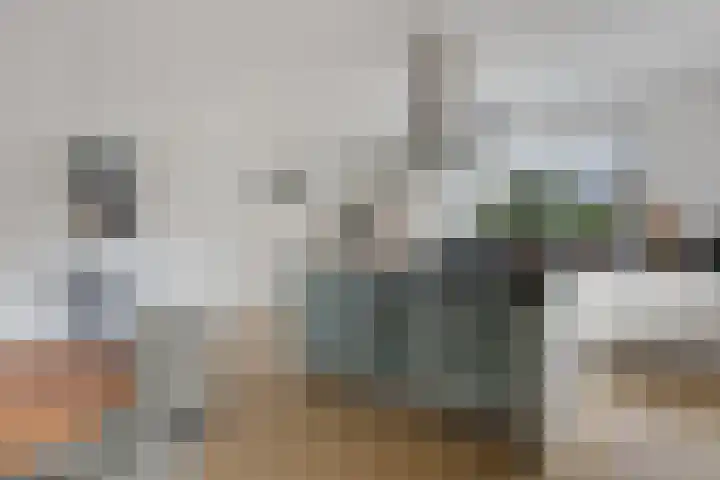 Arlo 11 Tynaarlo thumbnail 12