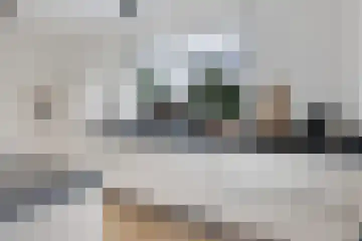 Arlo 11 Tynaarlo thumbnail 13