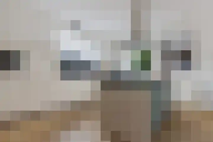 Arlo 11 Tynaarlo thumbnail 14