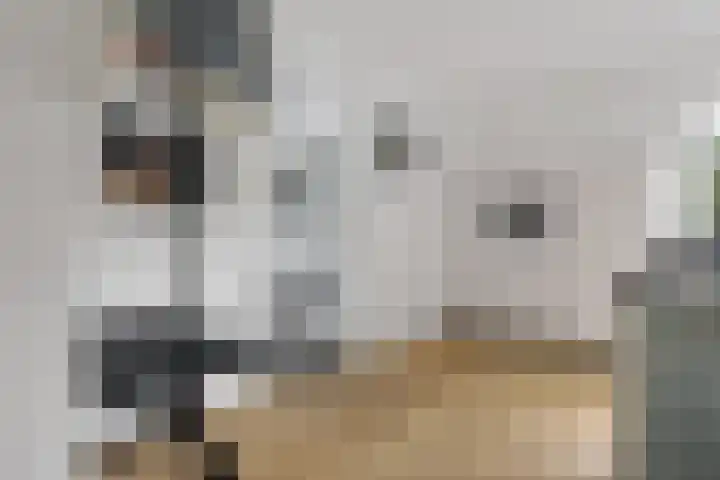 Arlo 11 Tynaarlo thumbnail 15