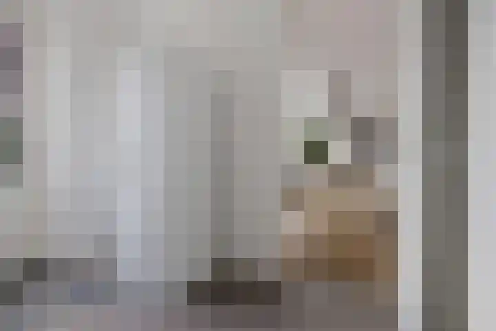 Arlo 11 Tynaarlo thumbnail 17