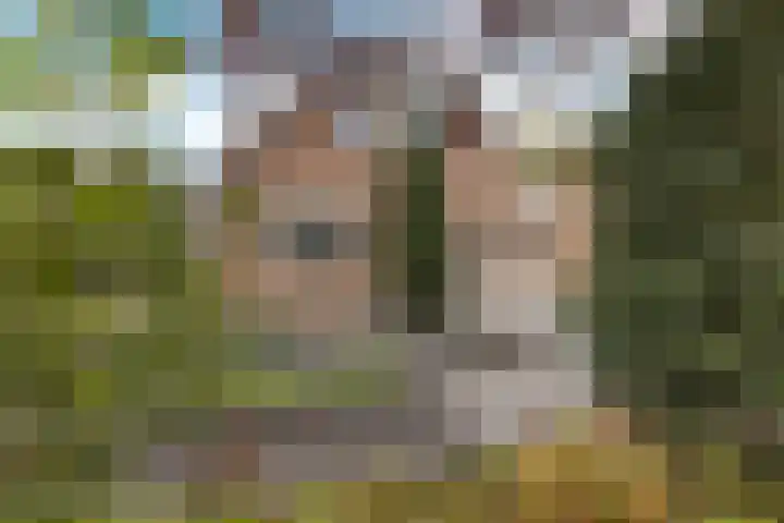 Arlo 11 Tynaarlo thumbnail 18