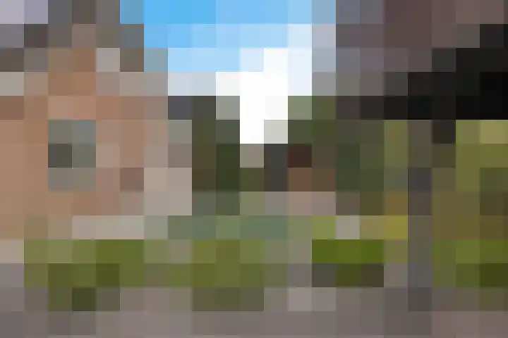 Arlo 11 Tynaarlo thumbnail 19
