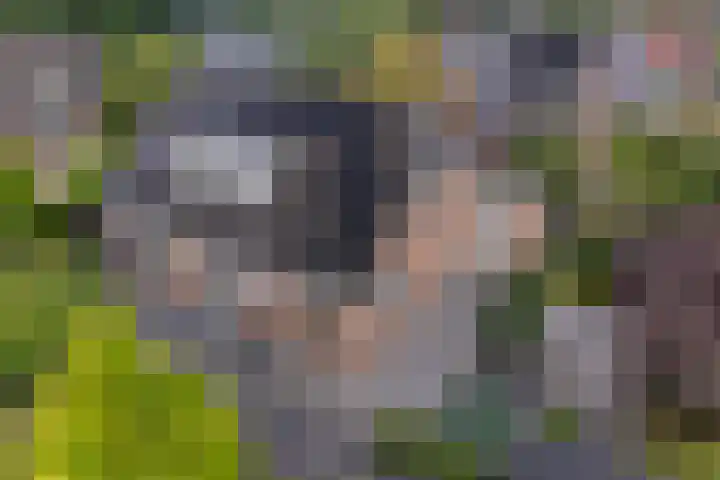 Arlo 11 Tynaarlo thumbnail 20
