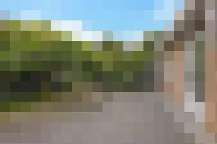 Arlo 11 Tynaarlo thumbnail 21