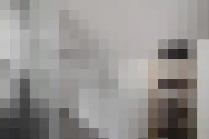 Arlo 11 Tynaarlo thumbnail 32