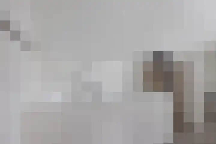 Arlo 11 Tynaarlo thumbnail 33