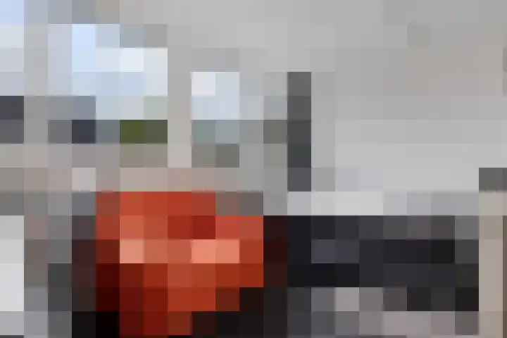 Arlo 11 Tynaarlo thumbnail 35