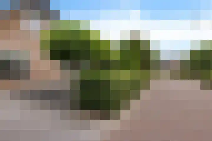 Arlo 11 Tynaarlo thumbnail 37