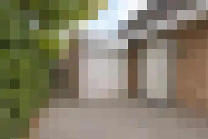 Arlo 11 Tynaarlo thumbnail 38