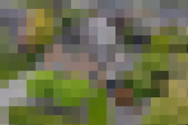 Arlo 11 Tynaarlo thumbnail 4