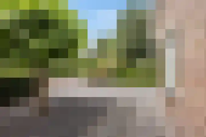 Arlo 11 Tynaarlo thumbnail 40