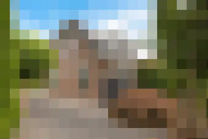 Arlo 11 Tynaarlo thumbnail 41