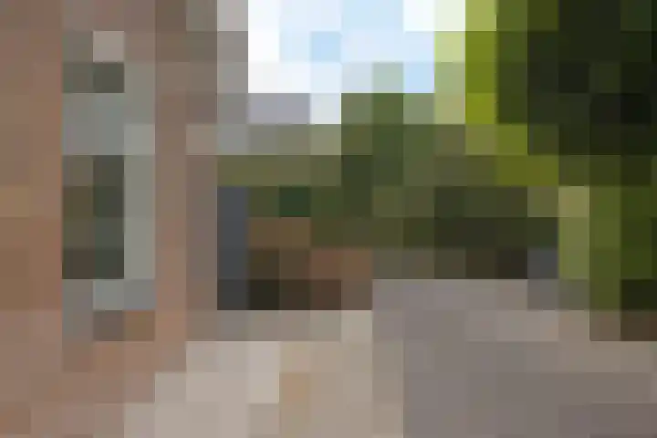Arlo 11 Tynaarlo thumbnail 42