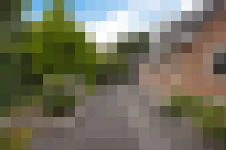 Arlo 11 Tynaarlo thumbnail 43