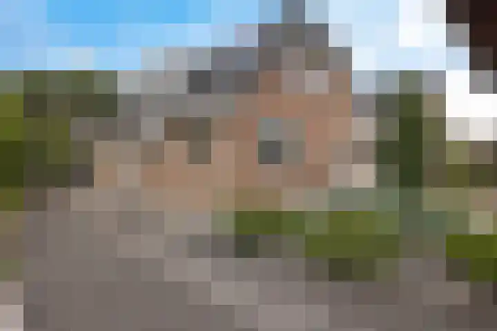 Arlo 11 Tynaarlo thumbnail 45
