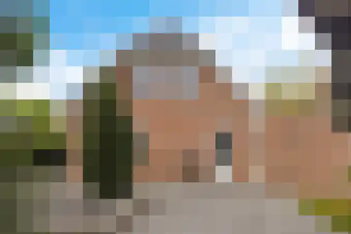 Arlo 11 Tynaarlo thumbnail 46