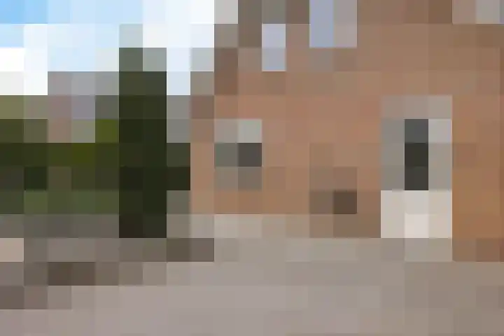 Arlo 11 Tynaarlo thumbnail 48