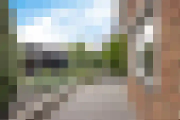 Arlo 11 Tynaarlo thumbnail 49