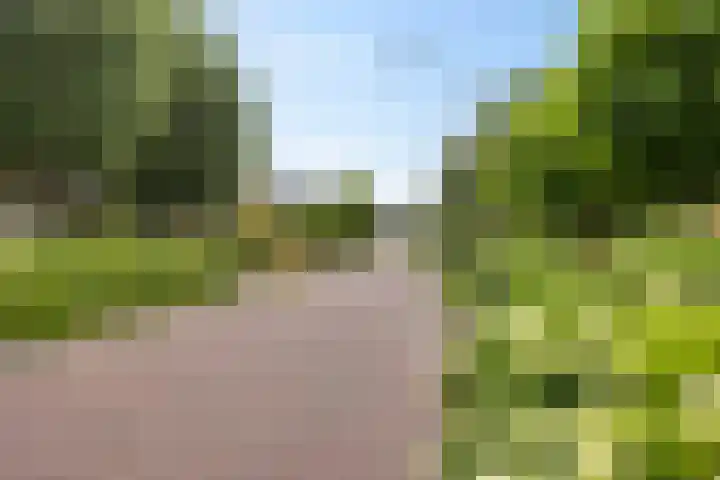 Arlo 11 Tynaarlo thumbnail 5