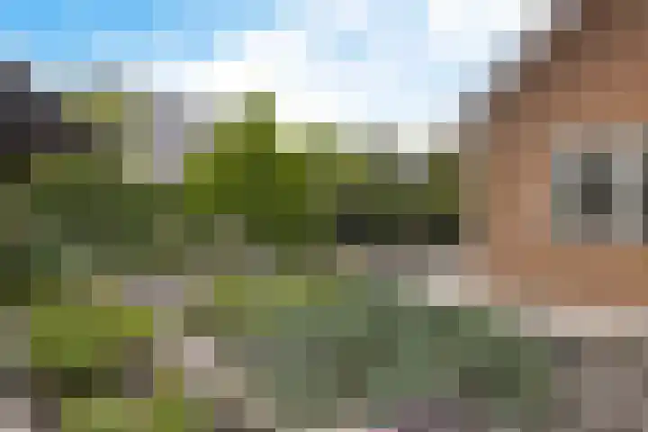 Arlo 11 Tynaarlo thumbnail 50