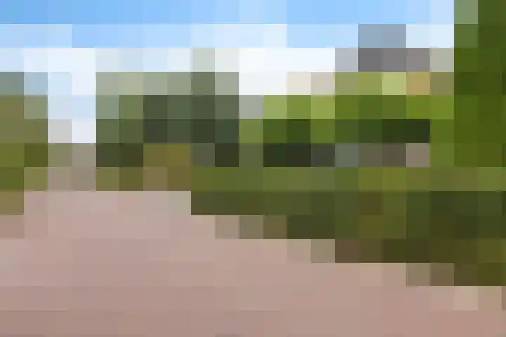 Arlo 11 Tynaarlo thumbnail 53