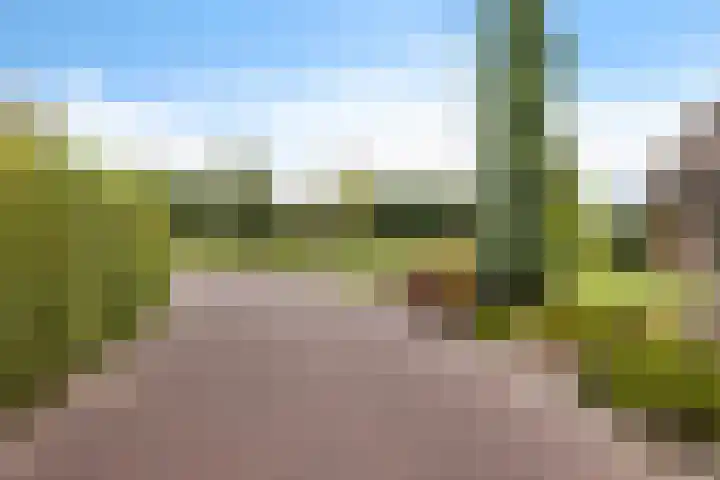 Arlo 11 Tynaarlo thumbnail 54